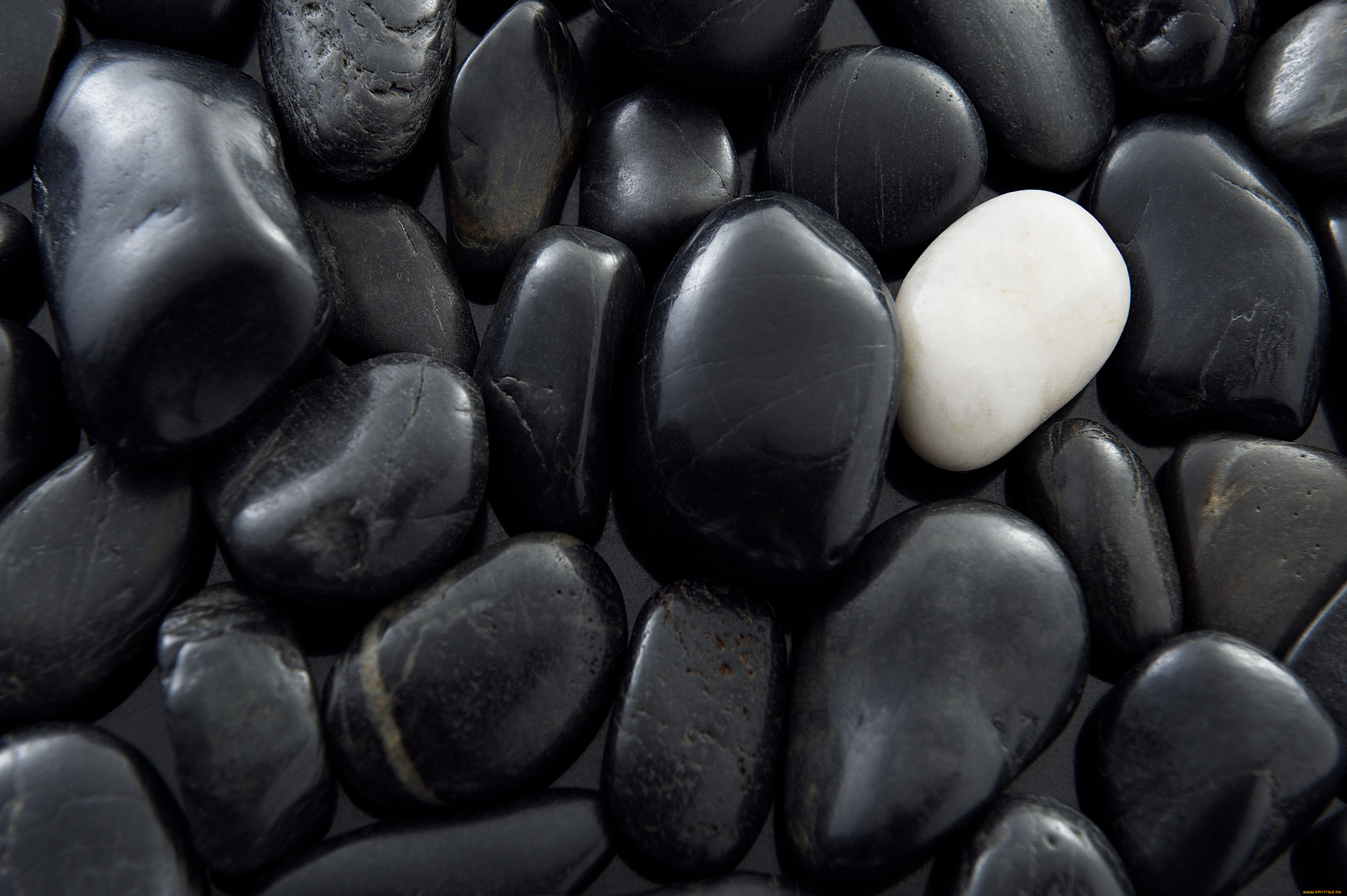 Черных картинках. Черная галька. Черный полудрагоценный камень. Черные камни галька. Черный гладкий камень.